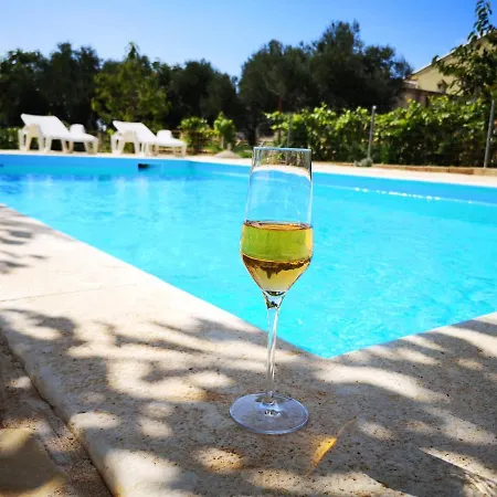 Family Friendly With A Swimming Pool - 14933 זאדאר